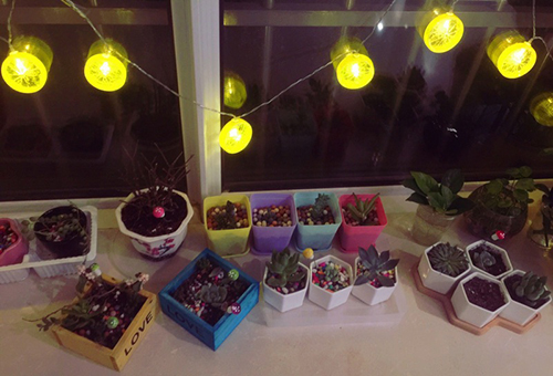 lemon slice led fairy string lighting 3.jpg