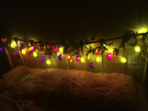 lemon slice and watermelon led string 1.jpg