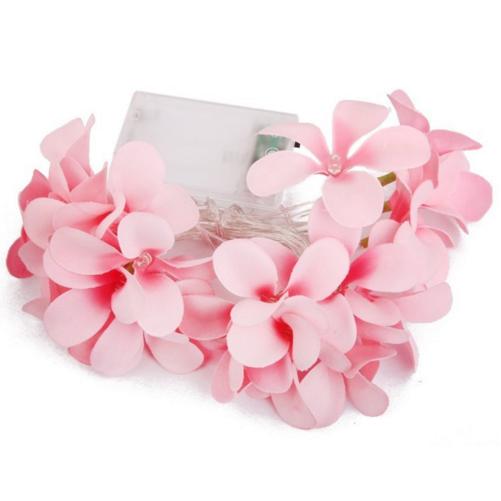 Frangipani  battery powered led string