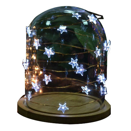 Star led copper wire string light