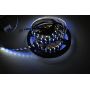 RGB+W SMD5050 led strip 120LED/M