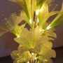 Fiber led table light