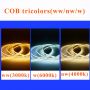 CCT cob led strip