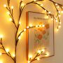 Willow vine lights with remote control